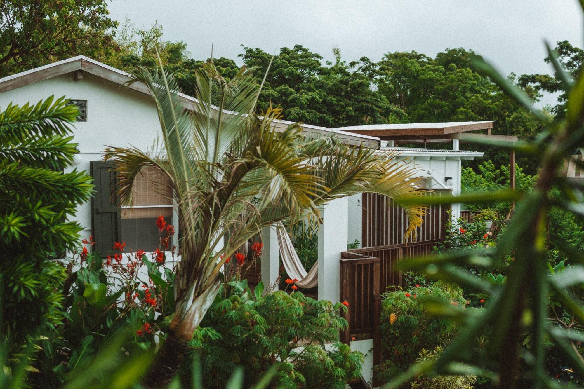 Finca Victoria Vieques Zewnętrze zdjęcie